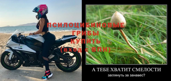 амфетамин Щучье