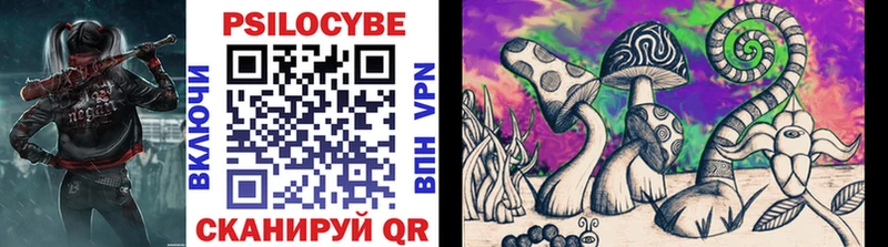 Купить где  Хилок  Галлюциногенные грибы Cubensis 