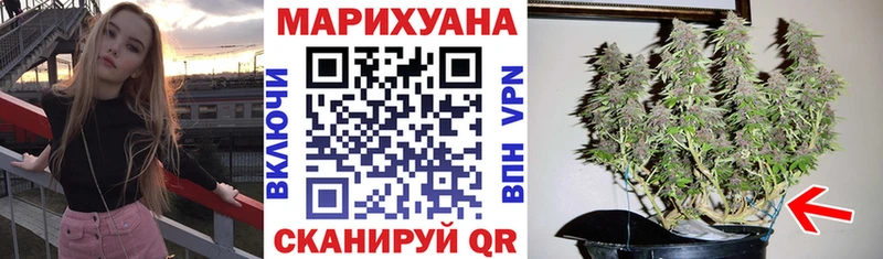 МАРИХУАНА гибрид Хилок